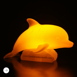 Dolphin Salt Lamp